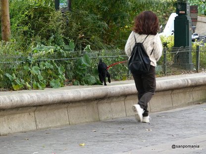 2007/10/24;パリの緑が好きな犬