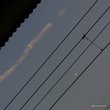 :月と飛行機雲