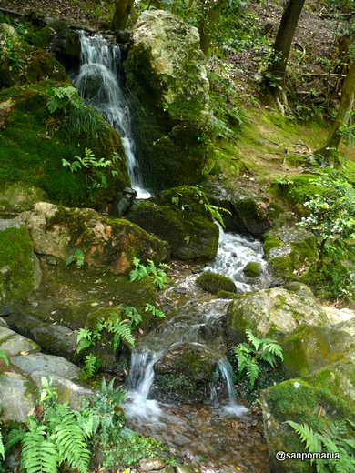 2009/05/23;池泉回遊式庭園の滝の音が静かに響きます。