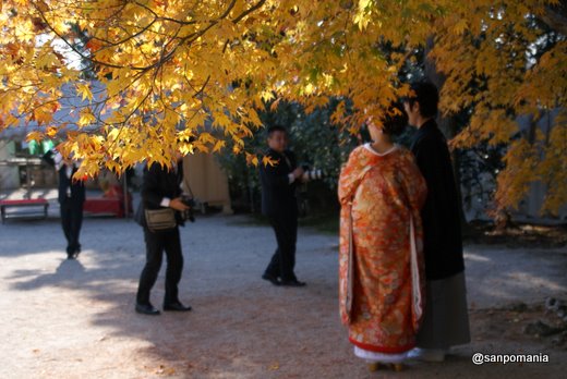 2010/12/05;上賀茂神社の花嫁さん