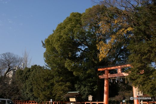 2010/12/05;上賀茂神社 一ノ鳥居