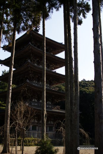 2011/01/09;醍醐寺の五重塔